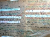 110825_ecoaldeas_107