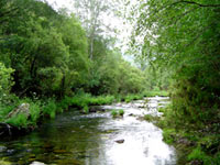 Rio Arnoia